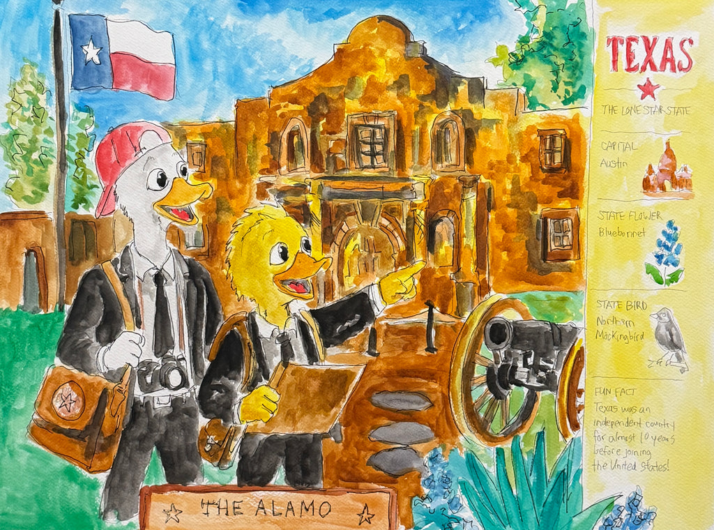 My 50 States: First Edition | Series One Collector Pack collectible art card collection by Duck & Compass Society — view 8